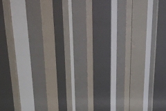 Bathroom blind