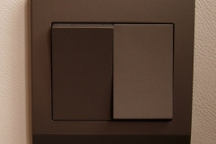 Double light switch