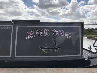 Mokoro